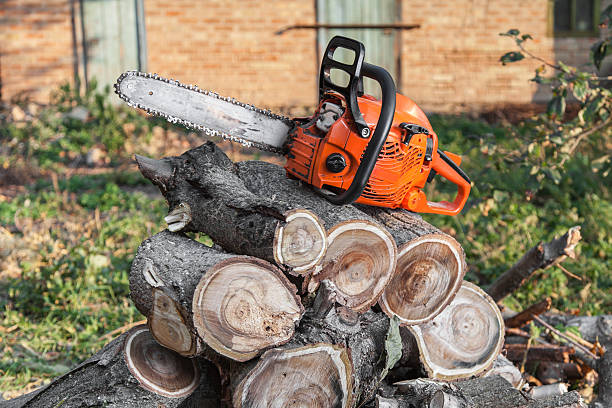 Best Tree Clearing Services  in Berry Creek, CA